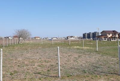 Teren de 500 mp, în Viile Noi - 4