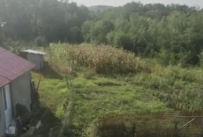 Casă cu 2 camere în Tansa - 1