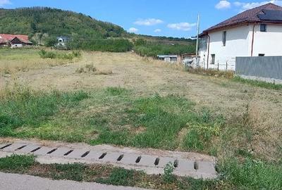 Teren de 1000 mp, în Baciu
