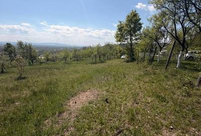 Teren de 1400 mp, în Fărcașa - 6