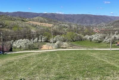 Teren de 1140 mp, în Armeniș - 3