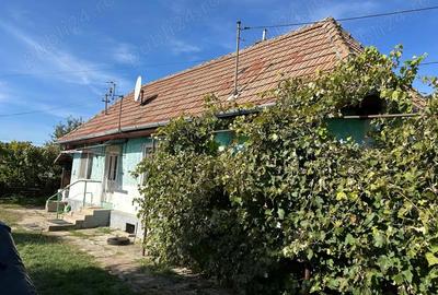 Casă cu 2 camere în Chichiș - 7