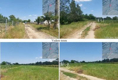 Treren extravilan, Loc. Scornicesti, Jud Olt