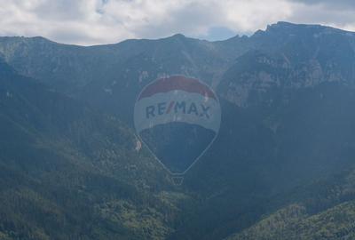 Teren Panoramic in Bran Vedere spre Bucegi & Piatra C... - 2