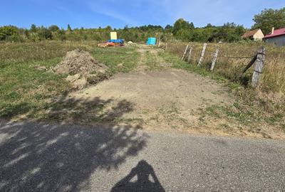 Teren de 3000 mp, în Câmpeni - 13