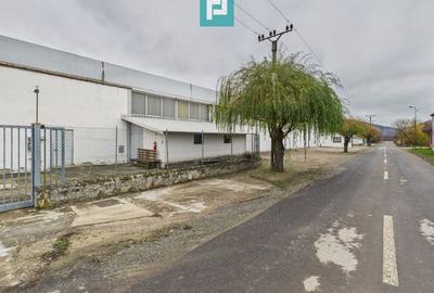 Hală cu teren intravilan de 3500 mp, în Sebiș Arad - 7