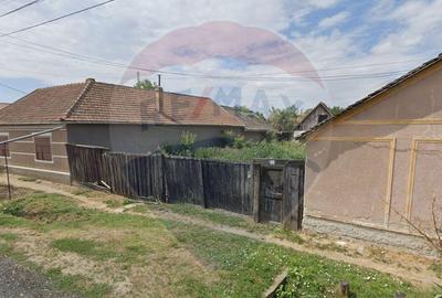 Teren curti constructii 857 mp de vanzare in Pecica , Arad - 8