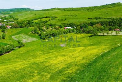 Teren intravilan Codor. Comision 0! - 7