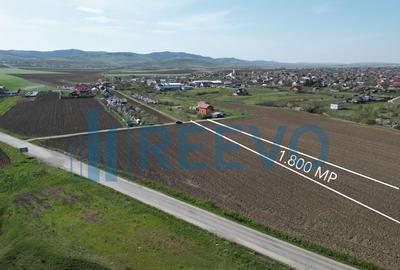 Teren de vanzare, Com. Nicolae Balcescu, Jud. Bacau - 1