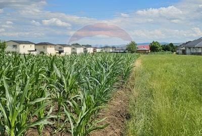Casă individuală cu 6 camere cu Canalizare în Lisaura - 37