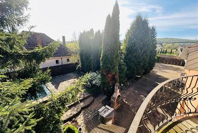 LUX Vila,  pozitionare Premium, conditii apreciabile: Tur Virtual& Film! - 12
