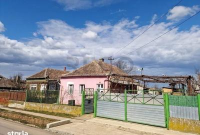Casă cu 1 camere cu Teren 2676 Mp în Șimian - 3