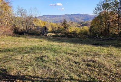 Spațiu comercial, în Central - 10