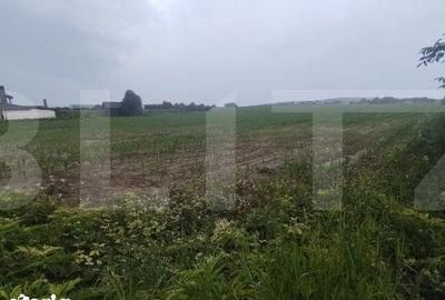 Teren de 7500 mp, în Curtești - 1