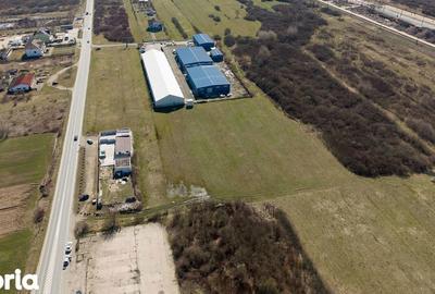 Teren de 7194 mp, în Carașova - 12