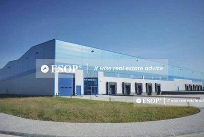 Spațiu industrial, de 4,500 mp, în Remetea Mare
