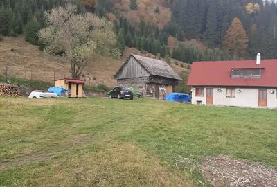 Casă cu 3 camere în Tulgheș - 9