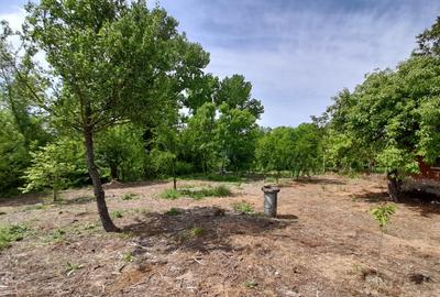 Teren 2900 m2, com. Salcuta, Jud. Dolj - 14