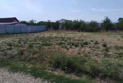 RECO Teren intravilan, Livada - 1