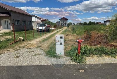Vanzare Teren 500mp Bolintin-Vale / Strada Bancii - 6