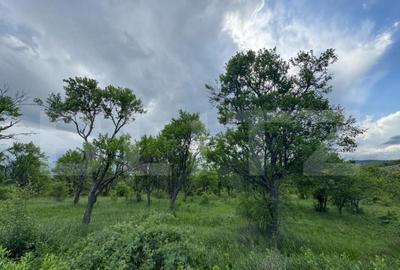 Teren extravilan de vanzare, 5305 mp, in apropiere de Ha?eg Teren extravilan de vanzare, 5305 mp, in apropiere de Ha?eg - 6