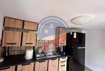 Casă cu 4 camere cu Teren 1640 Mp în Dubova - 14