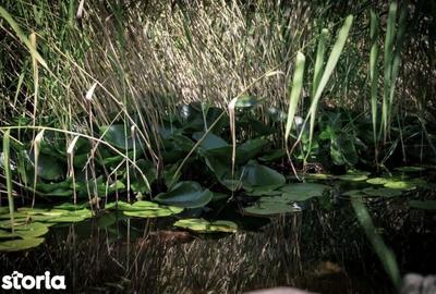 Casă cu 5 camere cu Teren 1300 Mp în Corunca