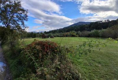 Teren intravilan 6000 mp, Pangarati, cu iesire la raul Bistrita - 5