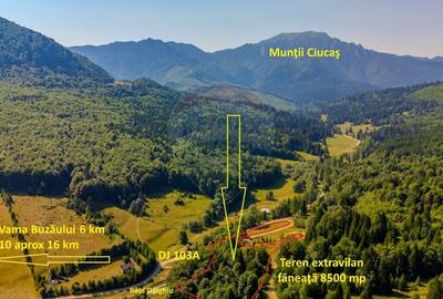 Teren 8500 mp, Valea Dalghiului - Dalghiu - vedere catre Ciucas - 1