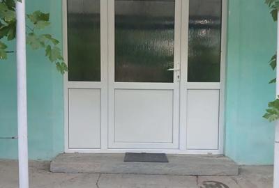 Casă cu 3 camere cu Teren 2877 Mp în Iosif - 4