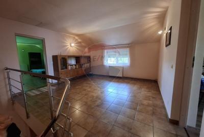 Casa / Vila cu 5 camere de vanzare in zona Brestei - 12
