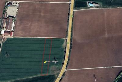 Vanzare teren 7500 mp Snagov, langa Clubului de Echitatie Equestria - 2