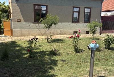 Casă cu 4 camere în Bulgăruș - 4