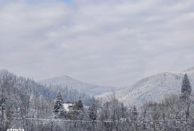 Teren de 22600 mp, în Sucevița - 7