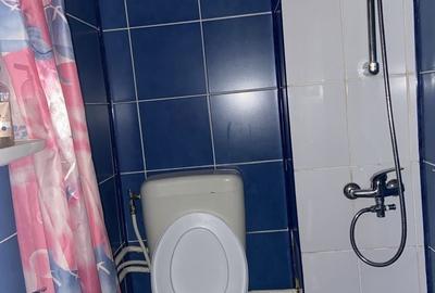 Garsonieră decomandată în Dosu Bricii - 2