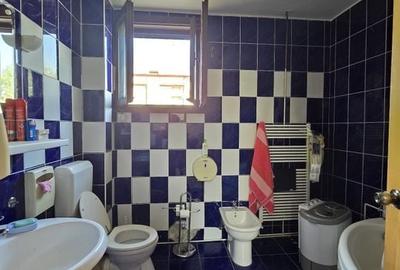 Vanzare Vila D+P+2ET la 7 minute metrou Brancoveanu - 14