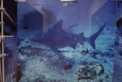 Penthouse cu 5 camere decomandat, mobilat în Central - 28