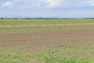 Teren extravilan Cocorastii Colt ; ID: R2710069 - 1