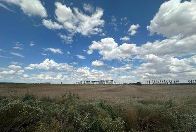 Teren Stefanesti - 2