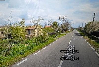 Lehliu, teren intravilan, 1000 mp - 2