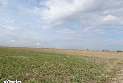 Teren de 5800 mp, în Scurtu Mare - 4