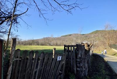 Teren de 4549 mp, în Gura Vitioarei - 5