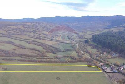 Teren 5.800 mp Purcareni curent, gaz, apa / Strada 30 de... - 13