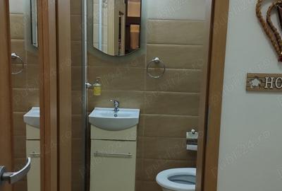 Apartament central regim hotelier - 5