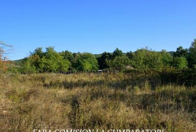 BUDESTI, TEREN 1000 MP, PRIVELISTE MINUNATA - 8