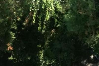 Casă cu 2 camere cu Teren 200 Mp în Sud - 2