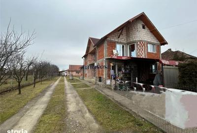 Casă cu 6 camere cu Teren 1375 Mp în Medieșu Aurit - 14