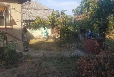 Casă în Bârgău - 1