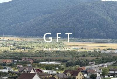 Teren în Viișoara - 1