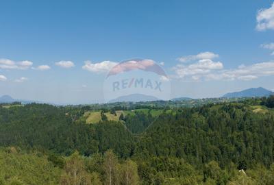 Teren Panoramic in Bran Vedere spre Bucegi & Piatra C... - 22